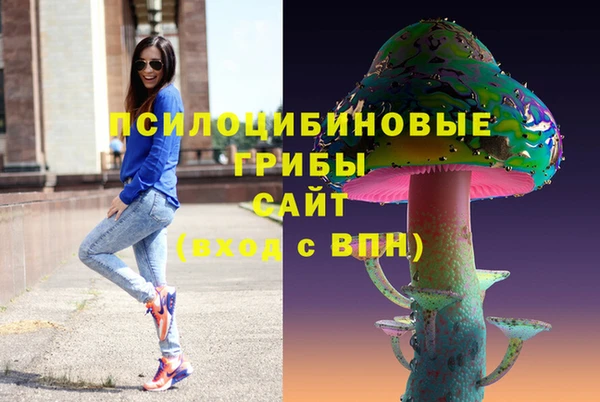 мяу мяу мука Заводоуковск