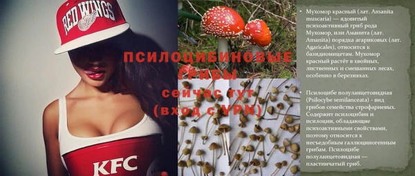 ECSTASY Нея