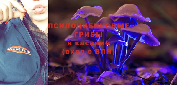 мяу мяу мука Заводоуковск
